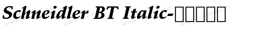 Schneidler BT Italic字体转换